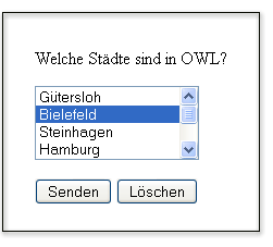 Select Auswahlmenü