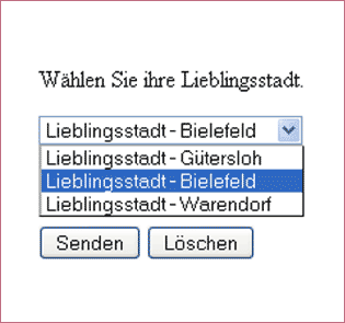 Select Auswahlmenü in Webformularen